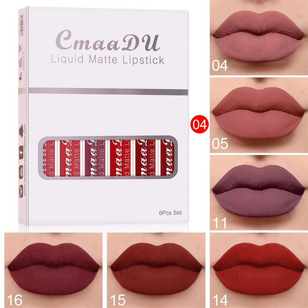 Long lasting matte lipstick set shade option E
