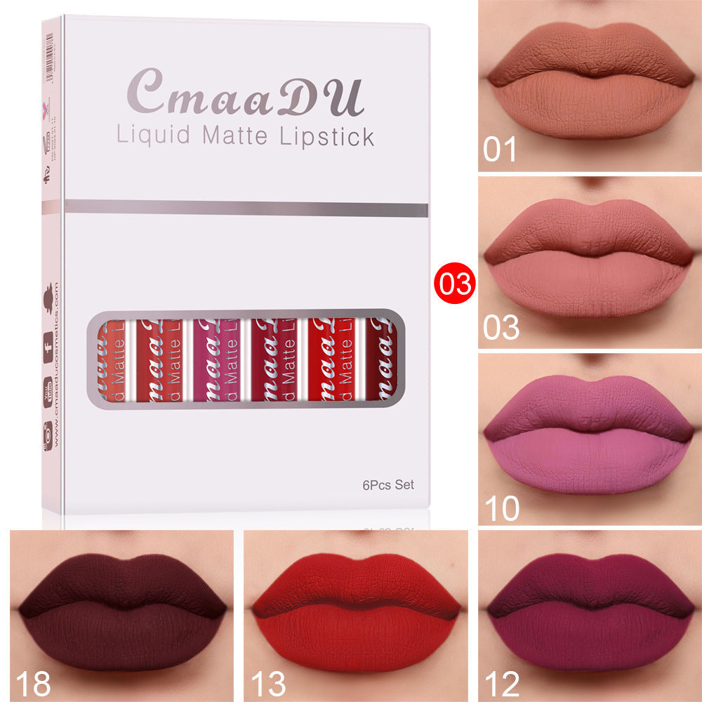 6 boxes matte lipstick set shade option D