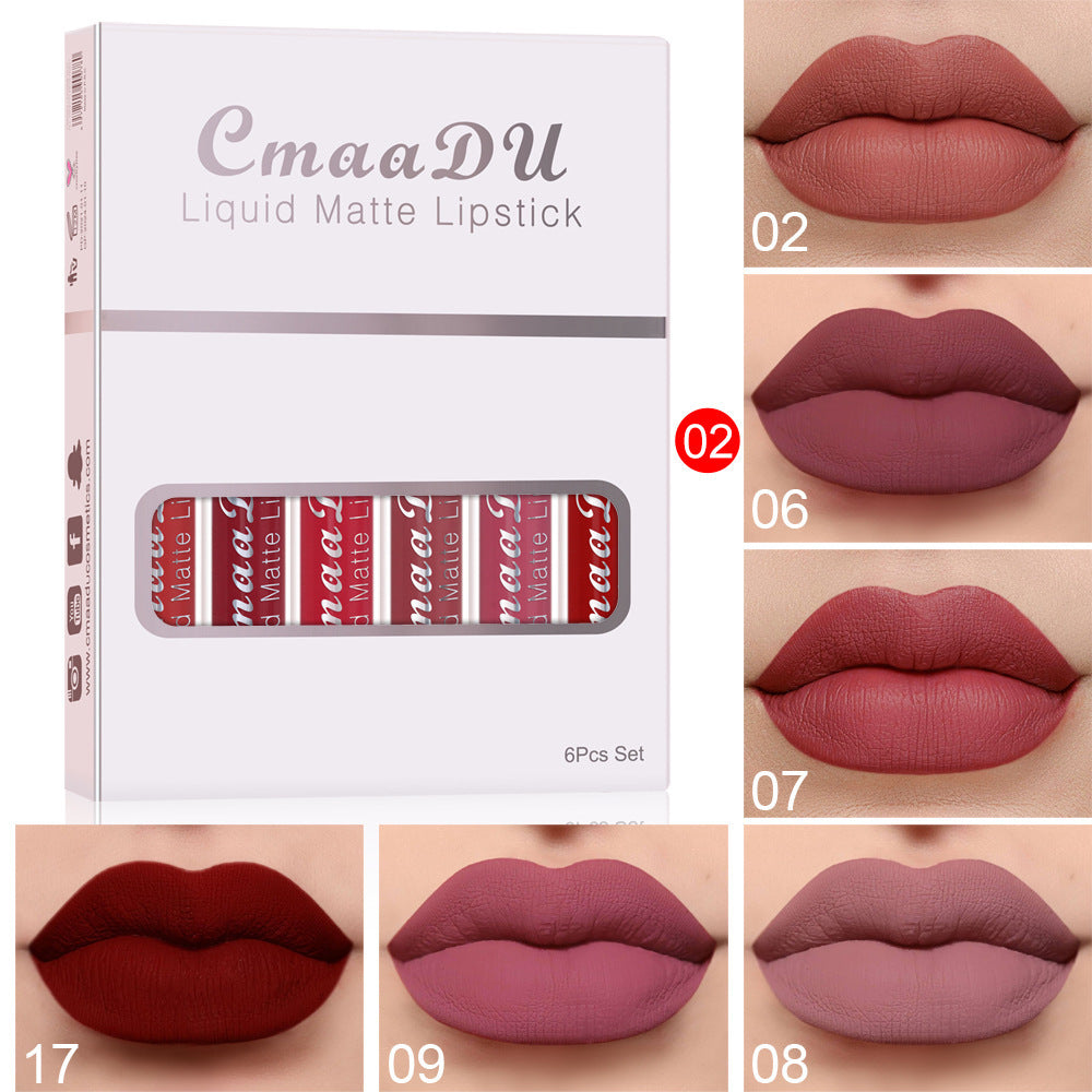 Matte lipstick set waterproof colour option C
