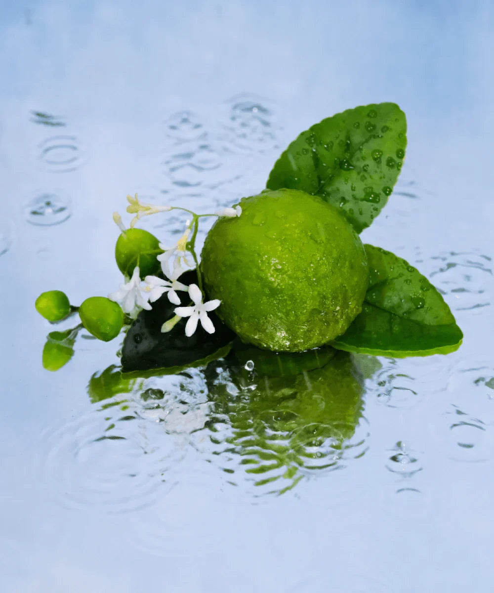 Maïssa Jardin Sicilien citrus Mediterranean fragrance product detail