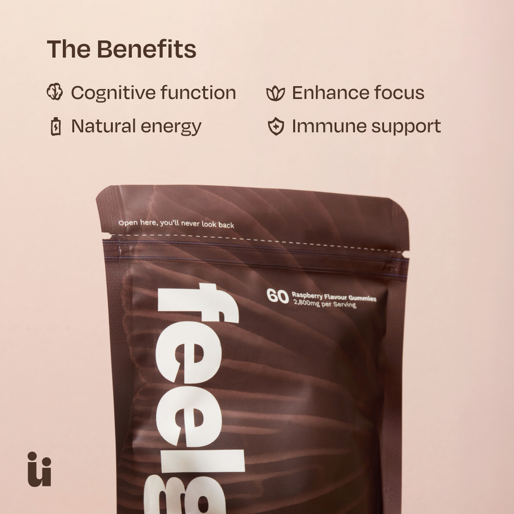 Mushroom gummies product benefits information graphic