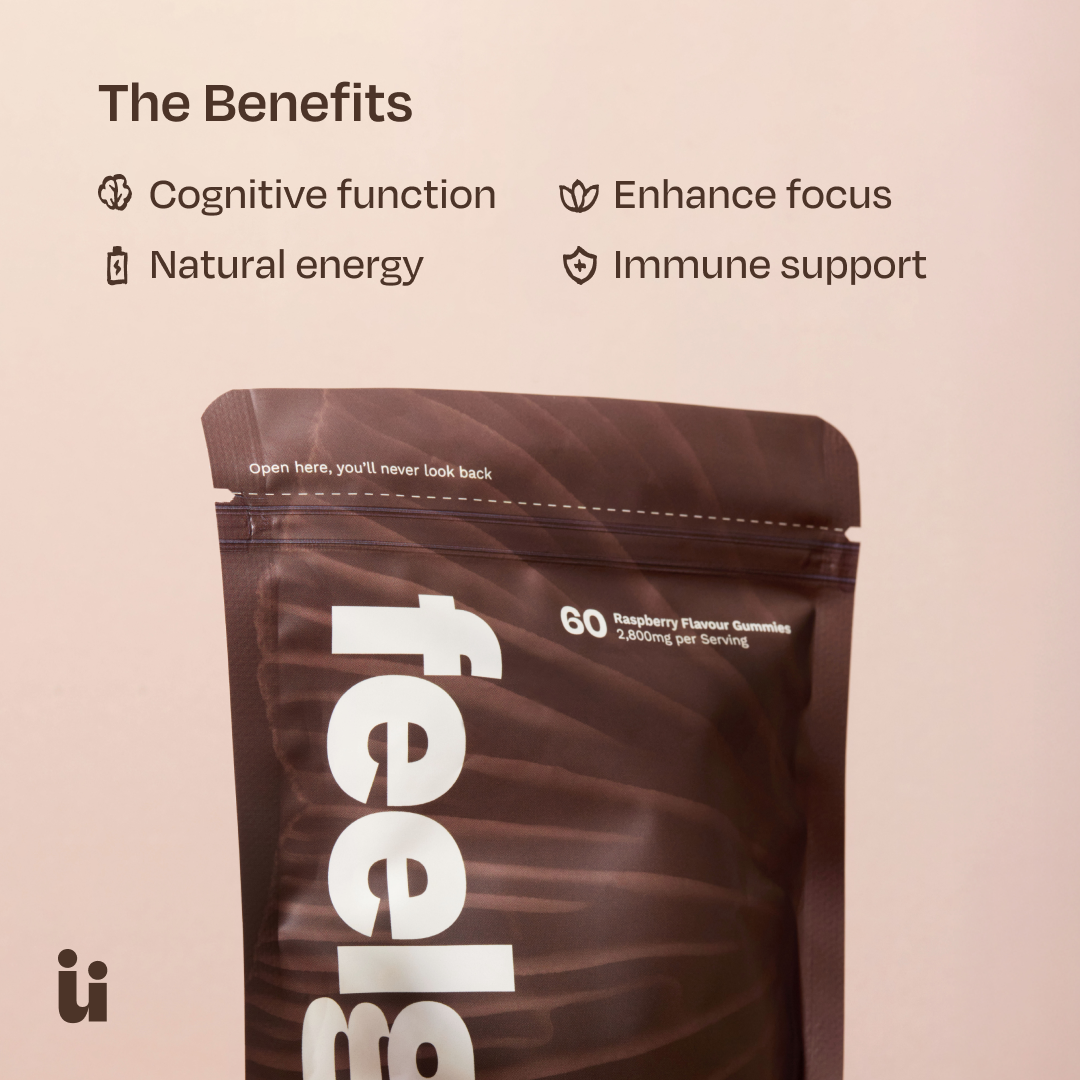 Mushroom gummies product benefits information graphic