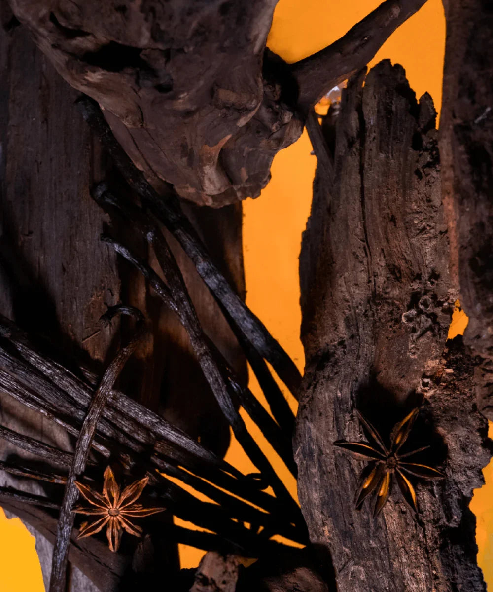 Maïssa Oud Bourbon fragrance notes image with vanilla violet patchouli and coconut