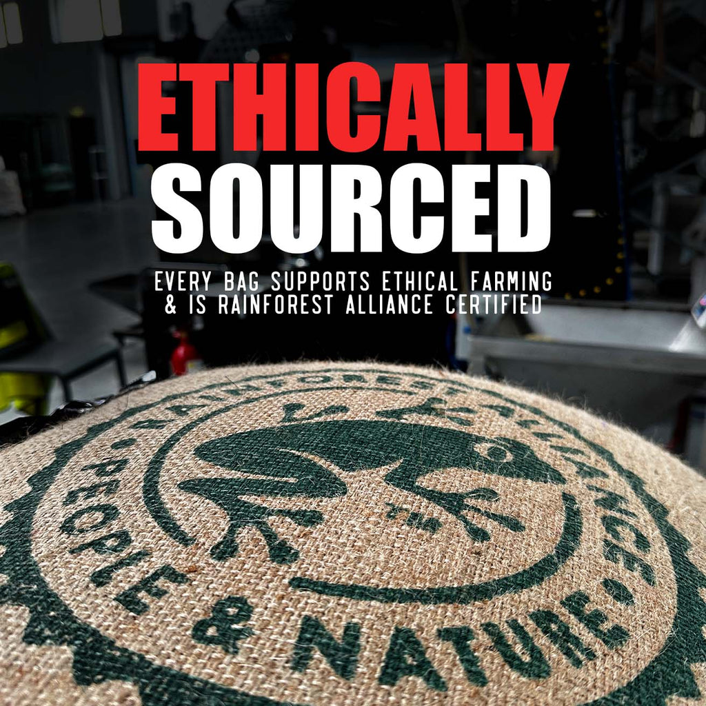 Skull Crusher Coffee dark roast coffee brand image