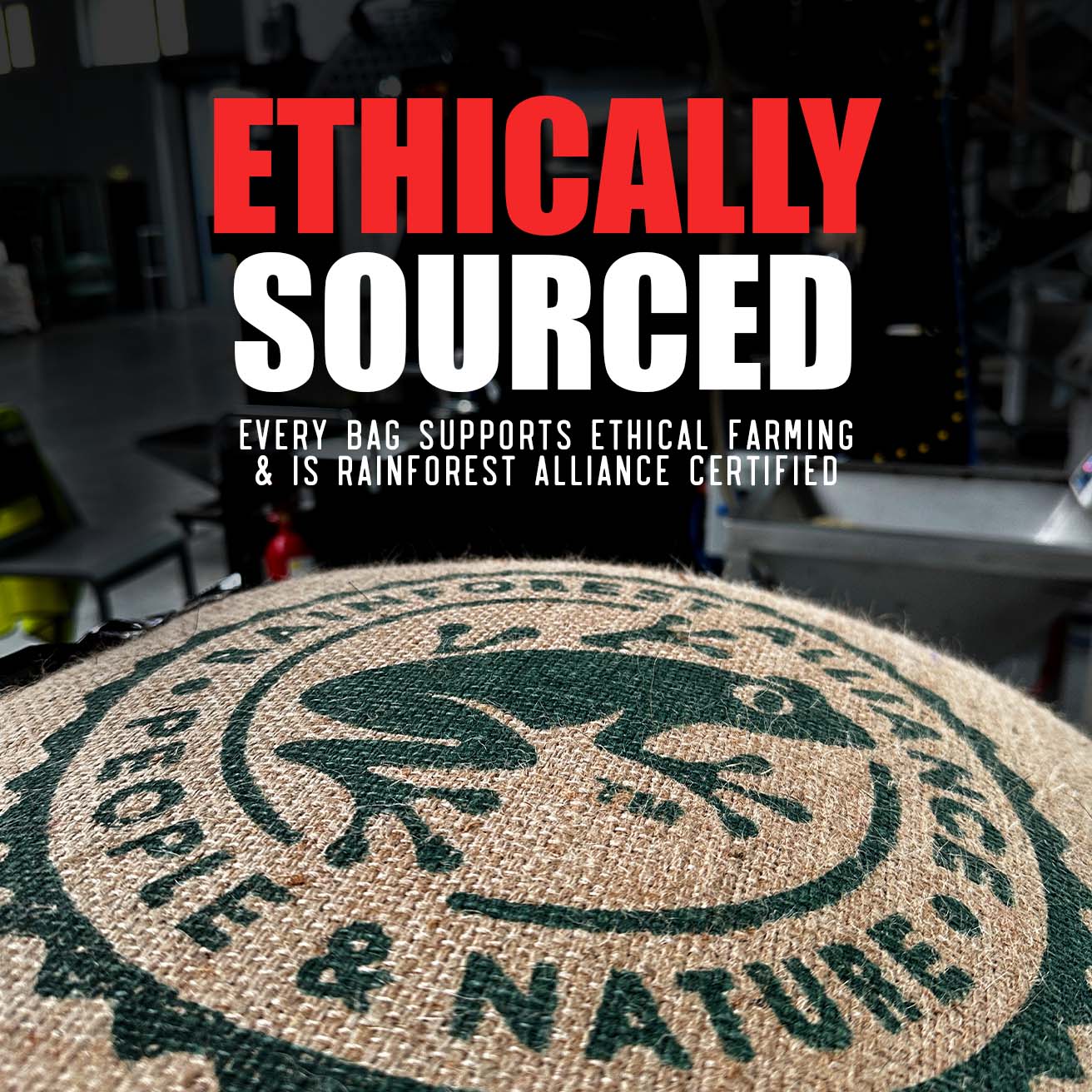 Skull Crusher Coffee dark roast coffee brand image