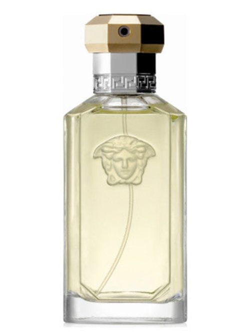 Versace The Dreamer Eau de Toilette 100ml bottle detail image